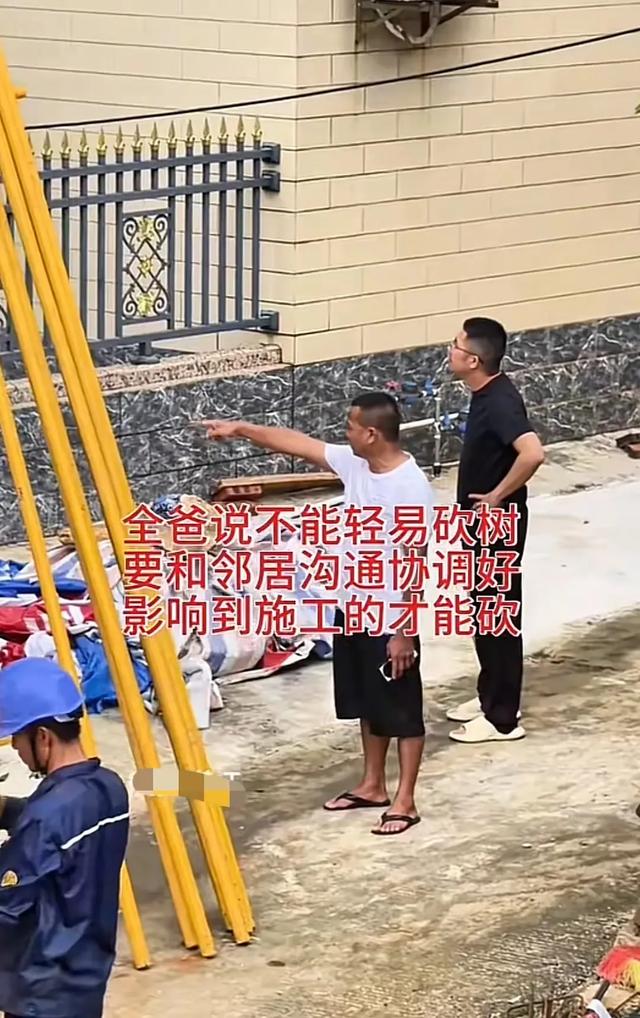 全红婵家房子，因为邻居家的树，可能要停工，全爸称要积极沟通