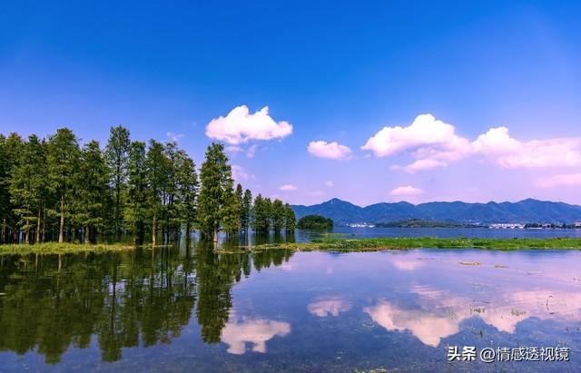 会偷人的女人，大概率是以下这三种人，男人别太老实
