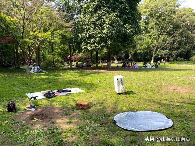 2023年春重庆探亲记（三）