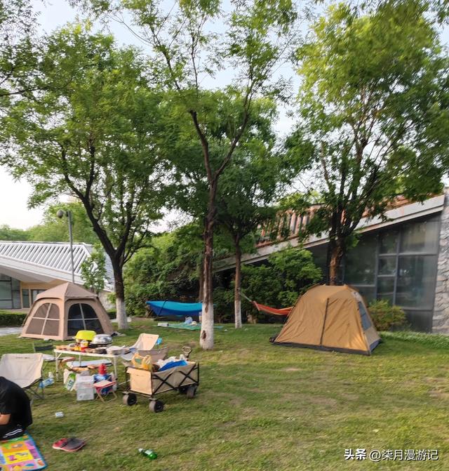 西安东郊最大的公园蔷薇花还很美,露营的游客多,小桥流水游乐场