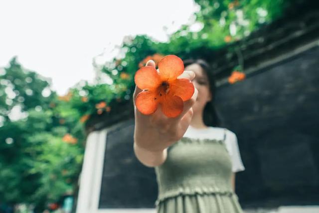 夏日限定凌霄花！带上这份指南来打卡