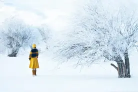 三九进九时间表出来了！最冷的时候要到了！为家人收藏~图片