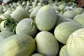 我国有多少种“甜瓜”？哪个品种好吃？今天全读懂，来，涨知识了图片