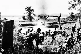 日军到底有多残忍？青年指着一棵树说：你看挂着的是什么？图片