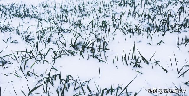 这不是迷信！老人说最怕“大雪是晴天”，今日大雪	，晴天有啥预兆