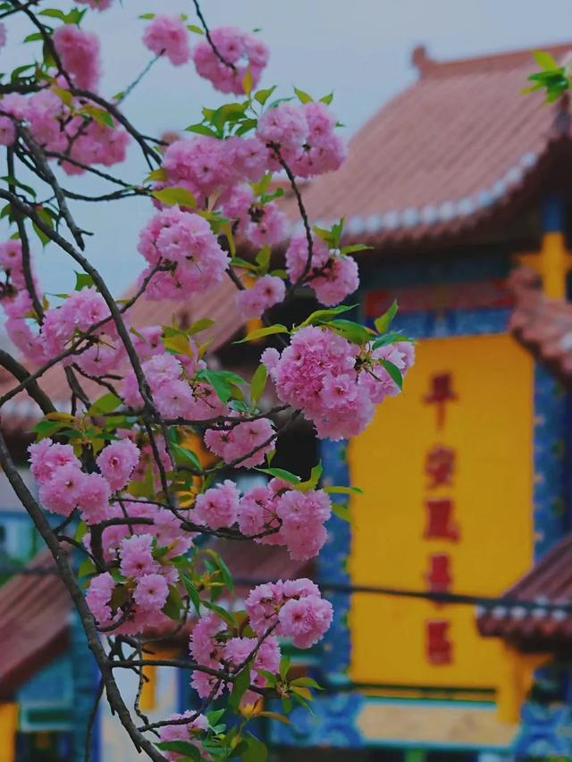 在射洪，你真的可以把日子过成诗~