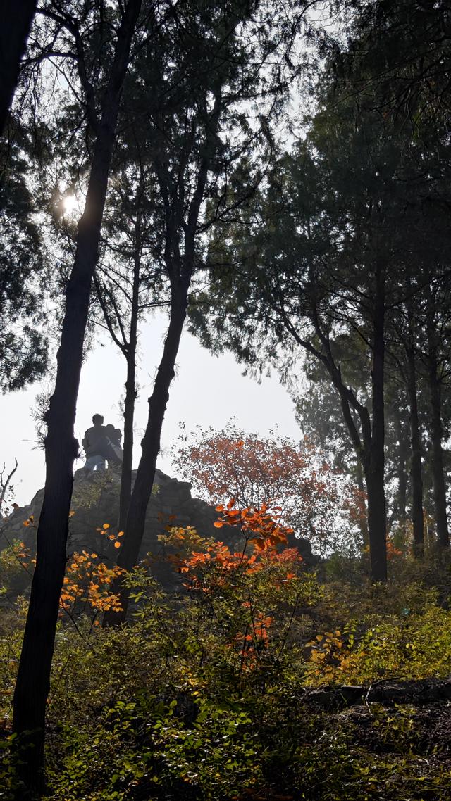 秋色如画，晒出你的秋！