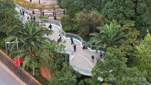 连通翠湖、昆明老街片区！翠湖城市绿道建成开放