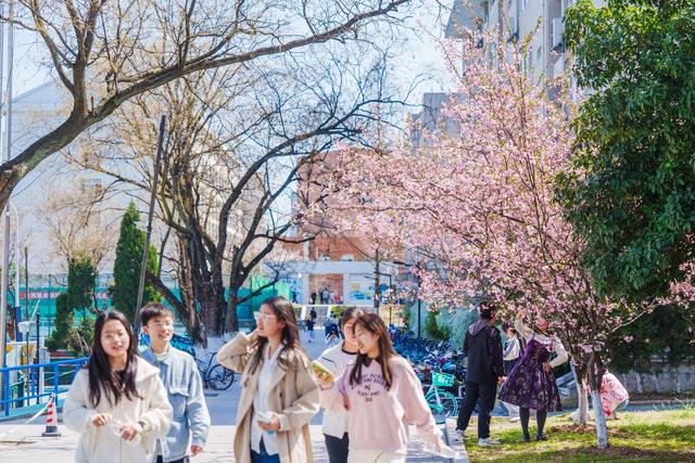 继乐山之后，四川又一“黑马城市”要起飞，比眉山更有潜力