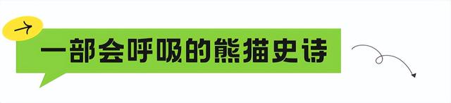 国庆必冲！高铁1h直达熊猫严选之城！震撼史诗剧拉爆视听，沉浸式互动实现熊猫自由！