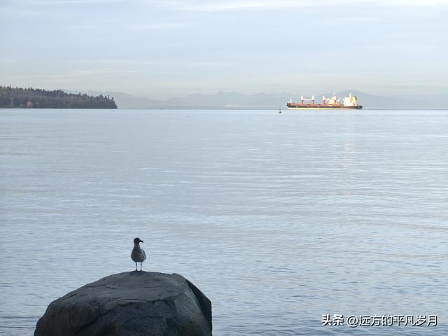 温哥华游记（四）