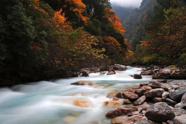 手头的事放一放，我要去雅安过五一了