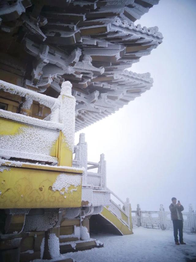 又来？这样的随州，你见没见过？