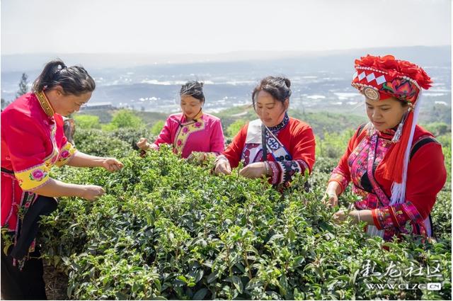 旅居云南·昆明好在（十二）山美水美物美，宜居宜游宜良