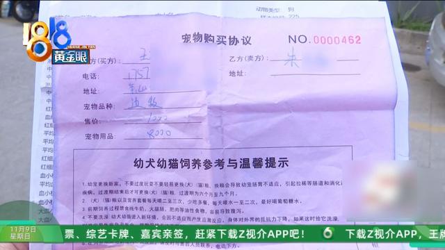 怎么又是这？她还拿出视频，里面“一动不动”，停了几只苍蝇....