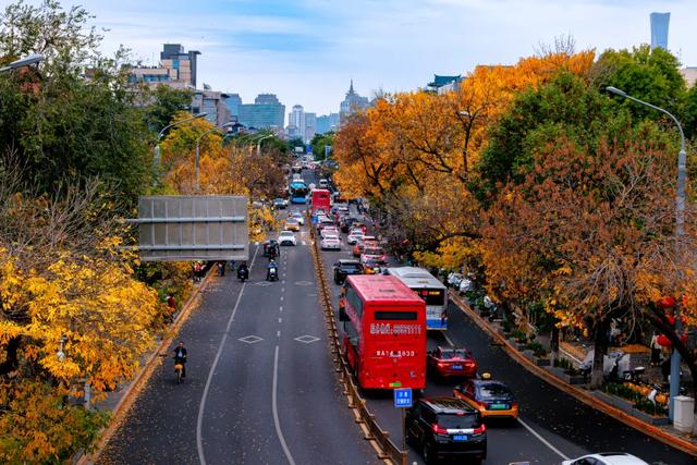 你会怀念这个秋天吗？