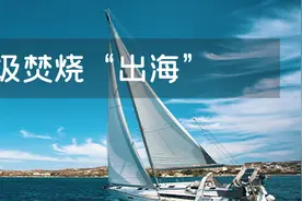 每座投资16.2亿，这个国家要建18座垃圾焚烧厂！图片