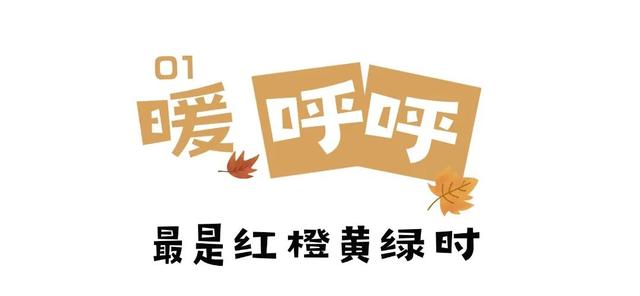 武夷山 | 我就说，这才是过日子~