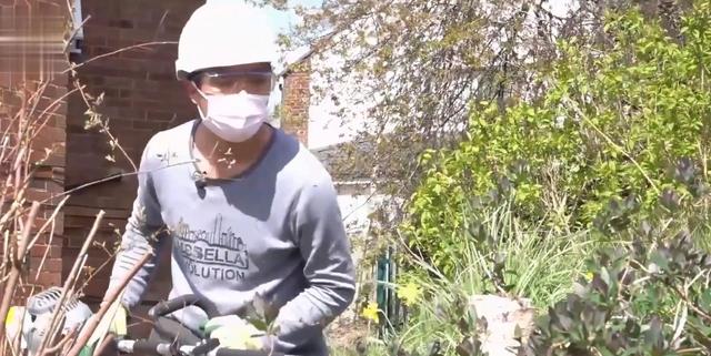 80后香港公务员放弃月薪59000，移民英国，找不到工作只能做园丁