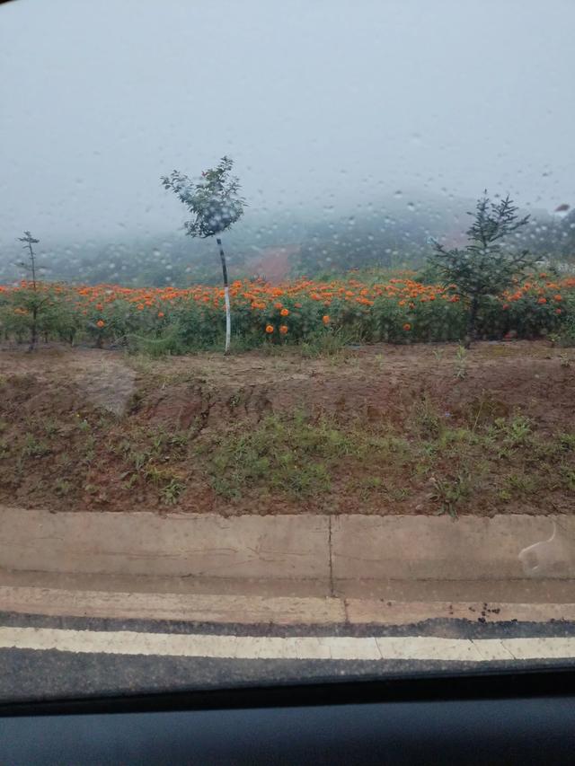 甘肃庄浪陈堡村