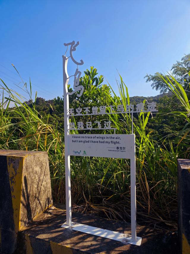 塘朗山郊野公园[绿平二路入口]骑行爬坡好地方