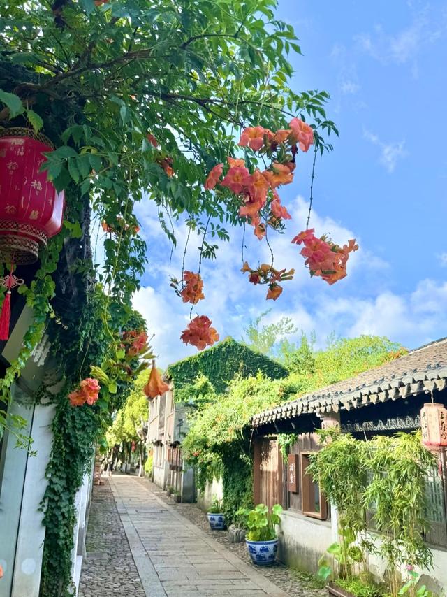 世界上只有中国苏州市才有的全球独一无二的10大奇景