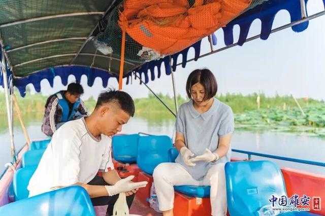 这才是“未来城市”该有的样子