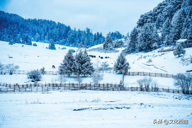 误会太大！冬天去了一趟西藏，想象被颠覆了！