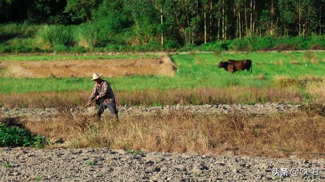 中央定调：农村两个服务中心开始建立，覆盖每个村，农民高兴了