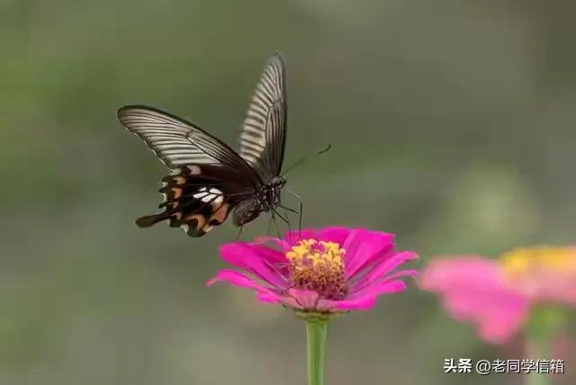 我搭伙过3个女人，发现女人过了55岁还找男人，无非就3个原因