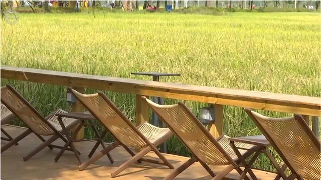 快码住!这里藏着秋日童话世界,出片率100%