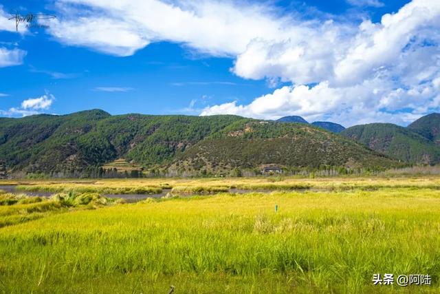 泸沽湖草海差点把我看吐了,到处是油画般的场景,能不能别这么美