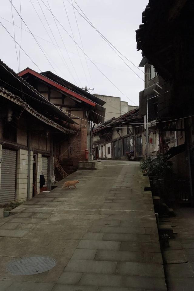 从成都出发，在龙泉山东麓邂逅一座千年场镇的温柔