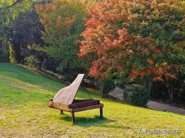 【乐游烟台】目测要火！烟台这座小城最近好看得离谱