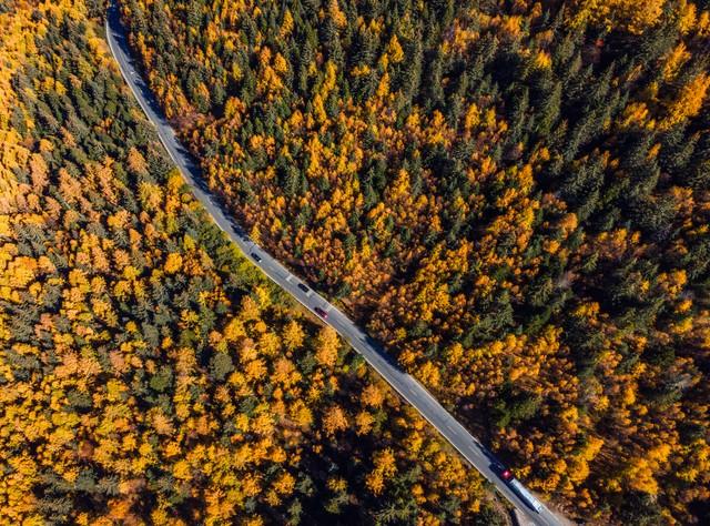 四川秋色段位大揭秘！这6个地方去了3个就算玩咖，全去过是王者！