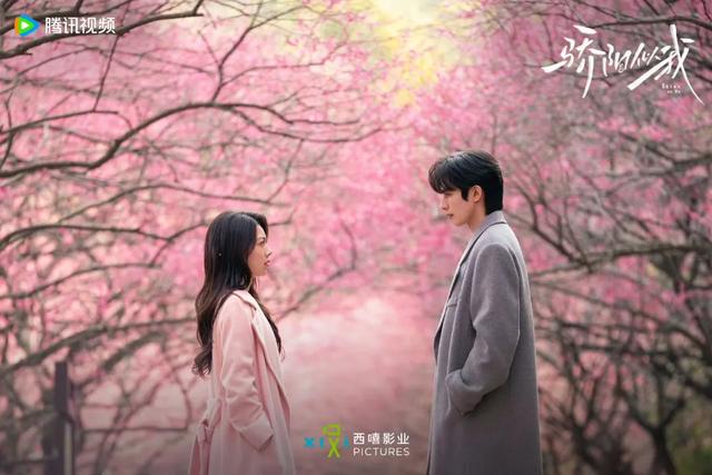 从年度期待到连破纪录，《骄阳似我》带来的“爆款确定性	”