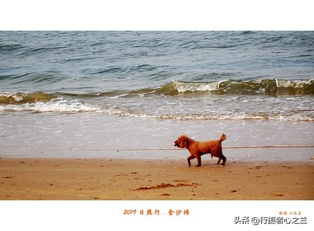 山东行游影记（88）—日照万平口海滨（一）