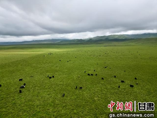 张掖肃南“夏日塔拉”光影如画