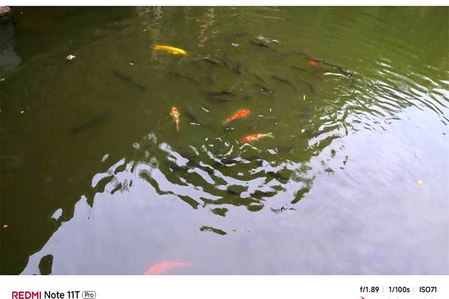 怎样通过手机查看经纬度和海拔高度？打开这个功能，一目了然