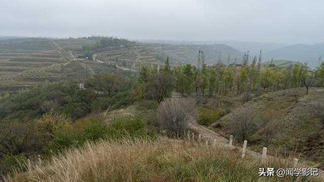 自驾•重走长征路 41乔家渠 秦长城 三岔园 山城堡