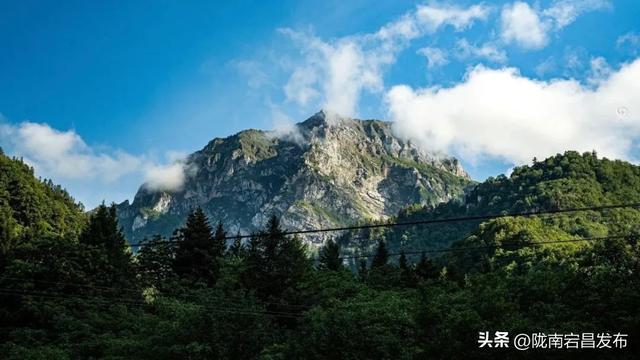 云深不知暑：在官鹅沟与清风明月共栖