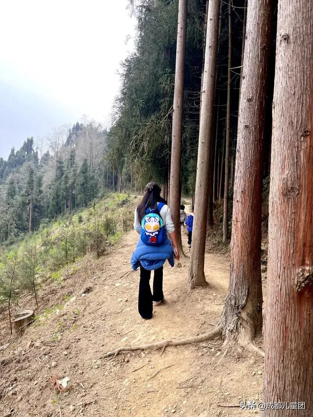 春天去哪徒步？成都周边8条路线：摘野菜、赏野花、捡野果