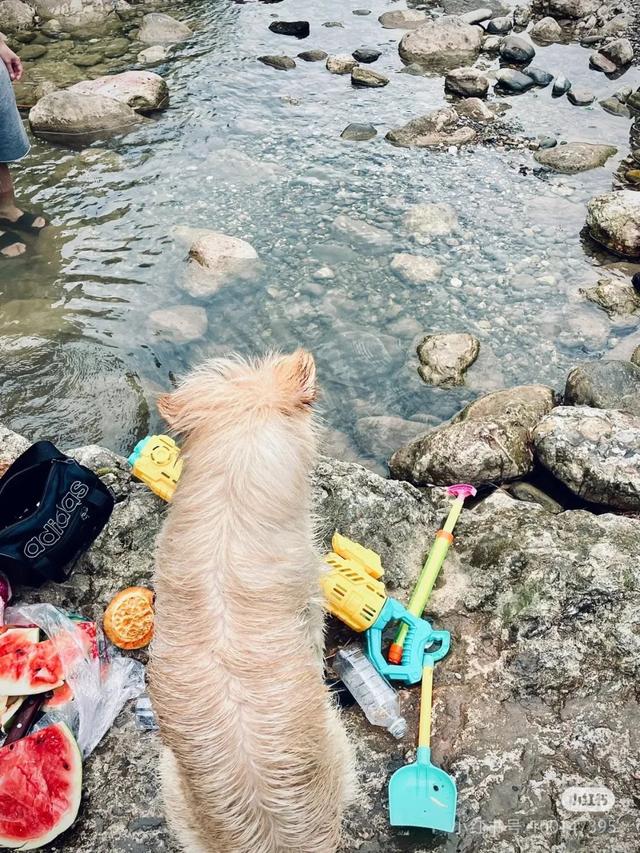 逃离38℃！成都周边12个清凉秘境，避暑耍水峡谷飞瀑！全部免费当天打来回！