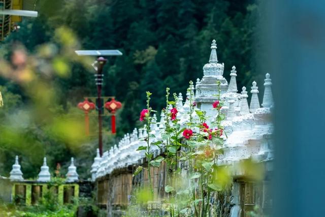 雨崩转山月：不负山河，奔赴所爱