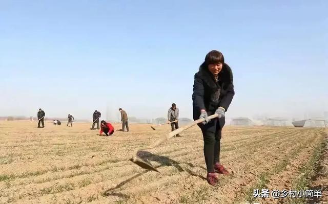 明日立冬不一般	，“大雪来不来，就看立冬”，今冬大雪？