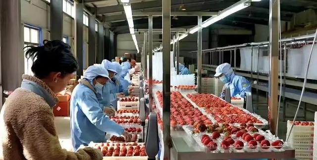 黄河三峡盛开民族团结之花——临夏州永靖县“文旅融合+民族团结”发展纪实