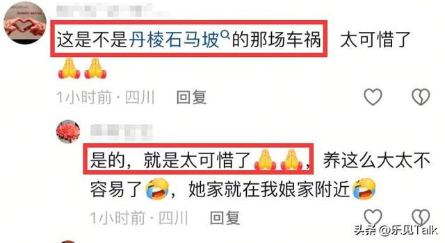 四川俩男童去世后续！哥哥7岁弟弟5岁，开学才7天，妈妈自曝死因