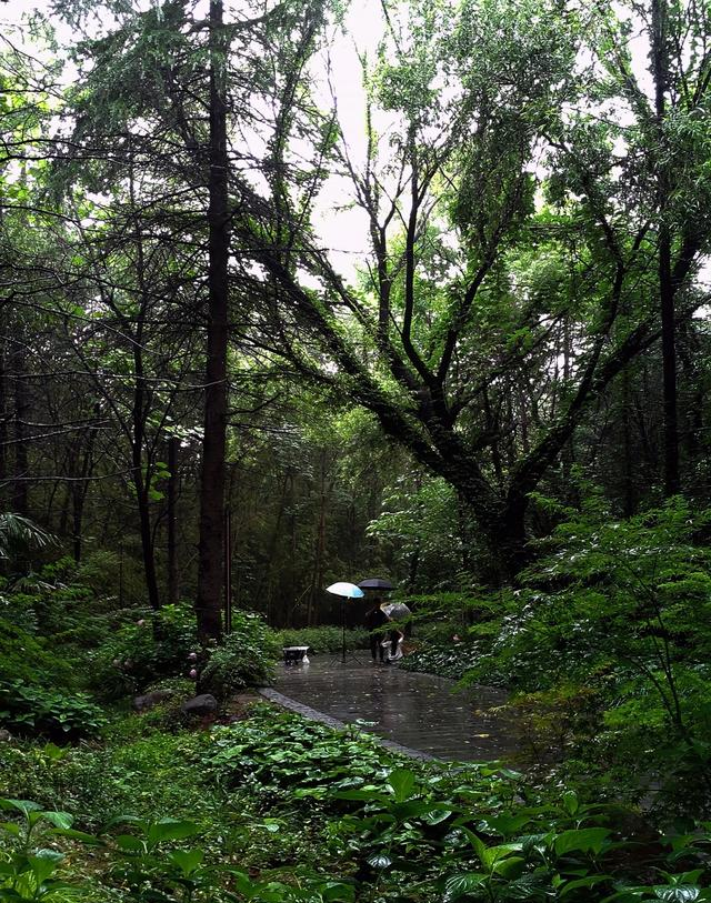 好消息，宿迁又一免费新公园，火了！好玩又好逛，去了，还想去！