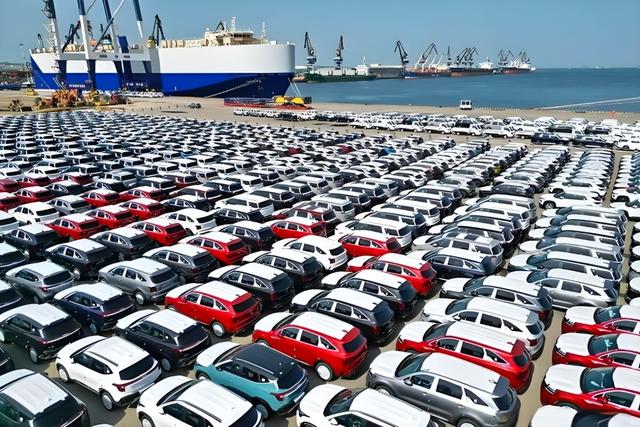 起风了！加拿大对华改口	，禁止与中国签协定，65万吨芸苔子白买？