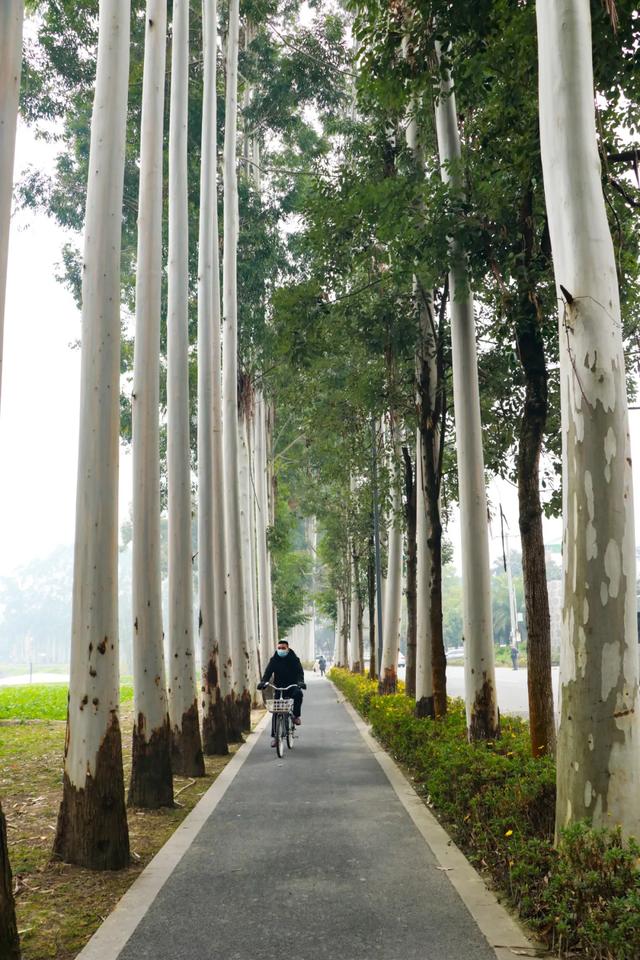 晒太阳~从从容容逛公园赏美景